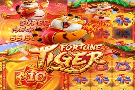 Bangladesh adult viewing live casino feature cards on a mobile screen